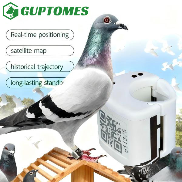 Type-C Dual Charging Pigeon GPS Tracker GPS+LBS Precise Positioning For Racing