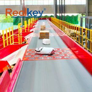 6000p/H Swivel Wheel Logistics Sorting System Customization Options Available