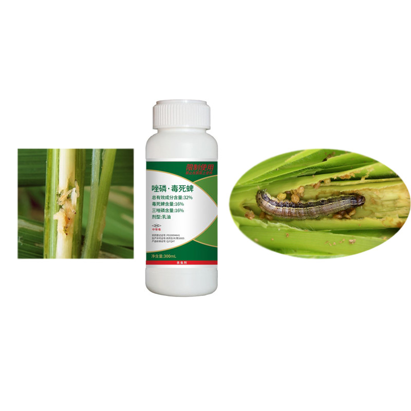 Triazophos Chlorpyrifos Paddy Rice Crop Pesticides chemical