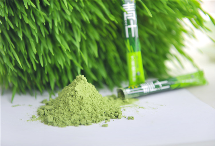 Delicious Health Green Juice Aojiru Green Barley Powder 3gx15 Packs