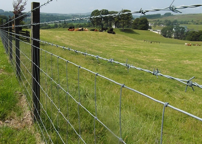 Twist weaving pvc coated green High Tensile Barbed Wire Fence