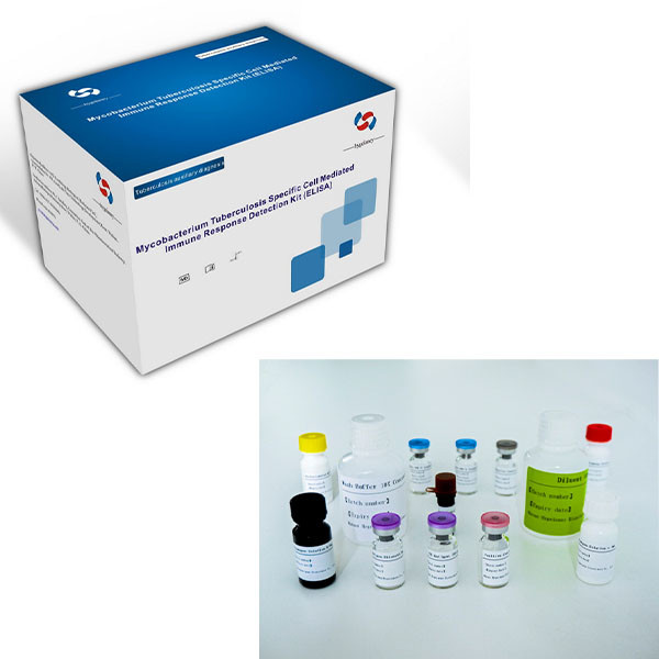 Easy-To-Use FT3 ELISA Test Kit With Long Shelf Life And 2C-8C Preservation Method