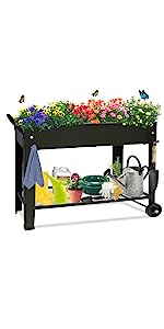 plant raised bed