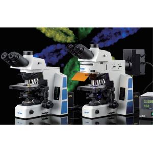 High Definition Inverted Biological Microscope Medical Field Large Numerical