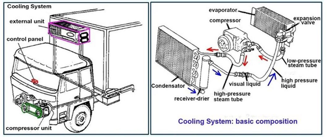 I Suzu Giga Thermo King Freezer Refrigerated Refrigerator Refrigerated Van with Hydraulic Gate