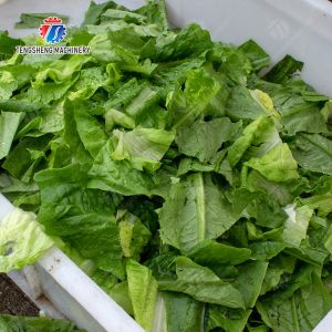 Double head cutting-hoisting-vortex washing production line Fruit Vegetable FOOD