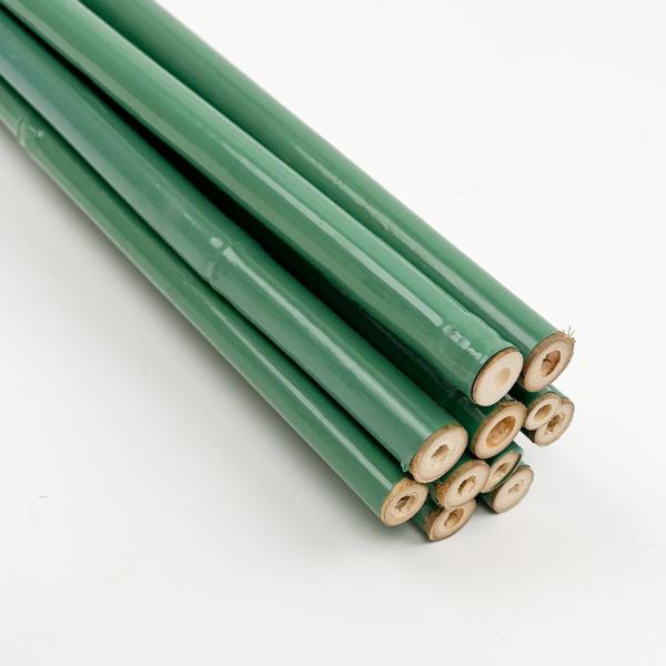 Custom Green PVC Coated Bamboo Treated Flower Support Tonkin Bamboo Plastic Tube