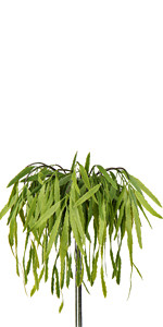 eucalyptus faux plant