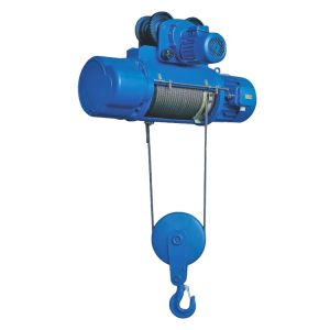 Customized Electric Hoist 0.5T-30T with Overload Protection Device
