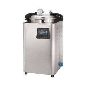 Portable pressure steam sterilizer