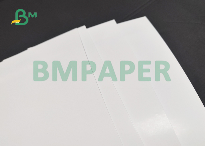 250gsm 300gsm C2S Art Board For Brochure Cover 72 x 95cm Uniform Surface