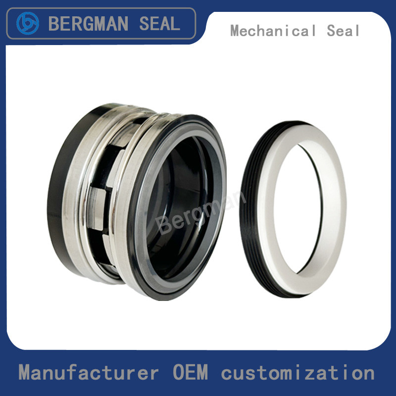 Durable BERGMAN Replaces John Crane 2100-K 12mm-100mm G60 G4 G6 G9 G13 G16 BS Bo BP Pump Mechanical Seal