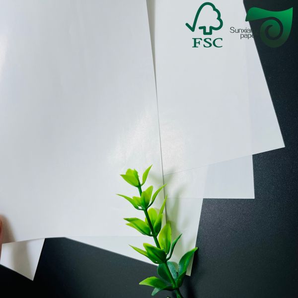Quality FSC 80gsm 90gsm Super White Gloss Mirror Cast Coated Paper For Sticker 20 30 Inches for sale