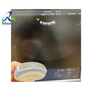 China GE C1-5-D Convex Array Ultrasound Probe Transducer Maintenance Change Crystal on sale China GE C1-5-D Convex Array Ultrasound Probe Transducer Maintenance Change Crystal on sale