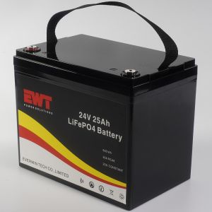 Built-in BMS 24V Lithium Iron Phosphate Battery with 3C Discharging Rate and 20A