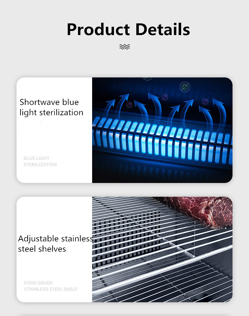 Multiscene Dry Aged Meat Refrigerator stainless steel 2 layers