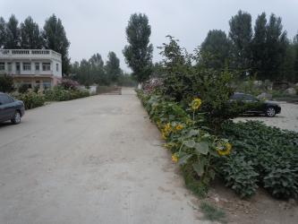 Shandong East Machinery & Equipment Co., Ltd.