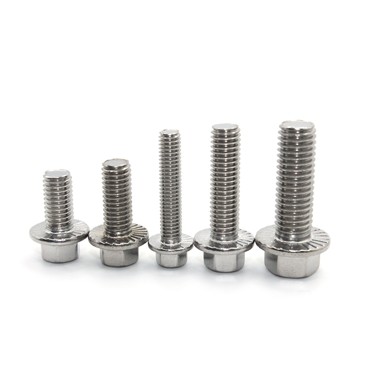 M10 Flange Head Bolt with Hexagon Din6921 and Custom Standard Made of Stainless Steel