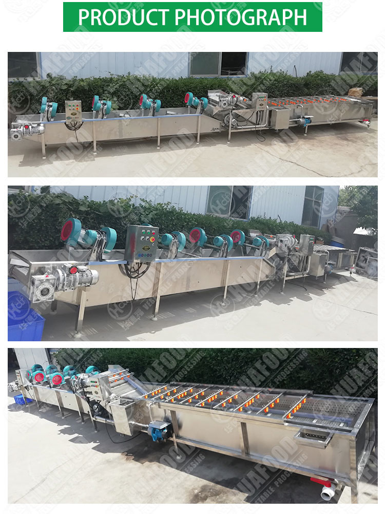 carrots 10.1kw 1500kg/h SS304 Vegetable Dryer Machine