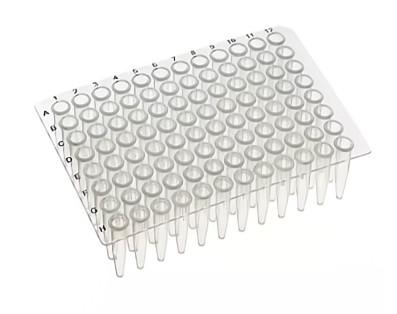 Medical Grade Polypropylene 96 Well 0.2 Ml Half Skirt PCR Plate With Black