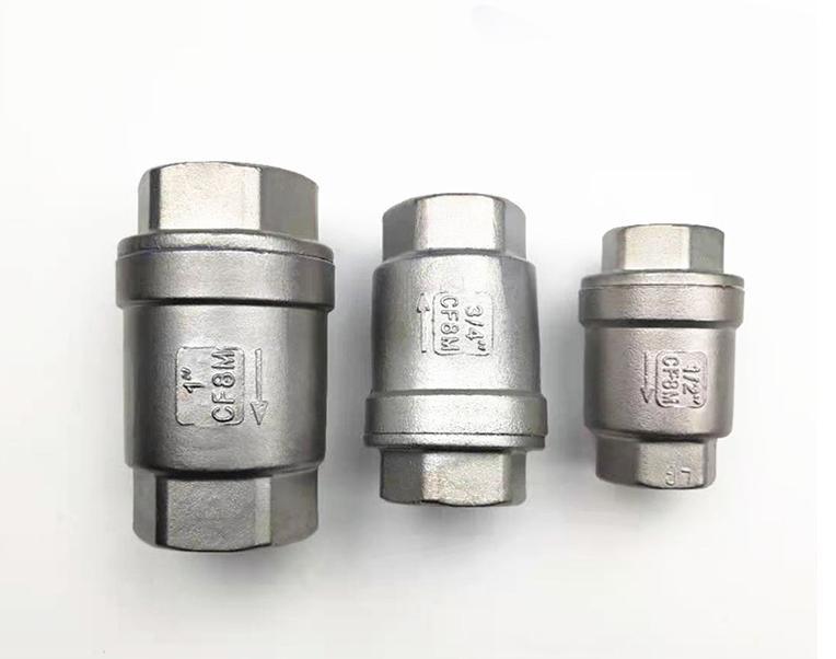 Manufacturer Direct Supply 304/316 Stainless Steel Vertical Check Valve