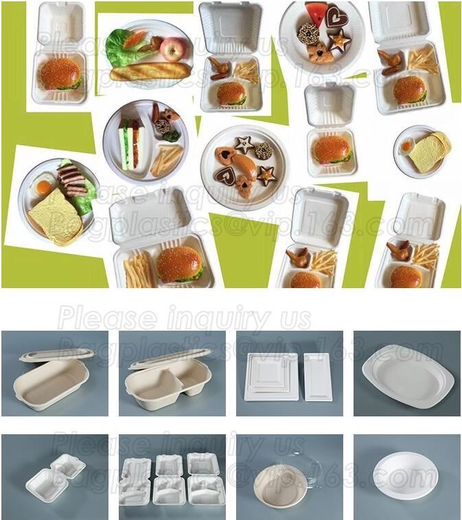 Meal Prep Containers Free Sample Bento Lunch Box Biodegradable Food Container Plastic Wheat Straw Lunch Box bagplastics