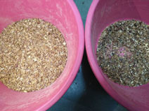 Fried Onion Optical Color Sorter For Removing Black Onion And Onionskin