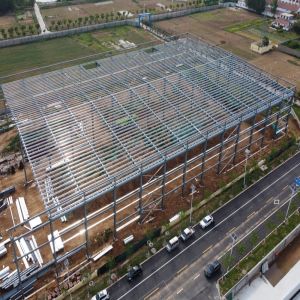 Light Steel Structure Factory Building with 50-Year Lifespan