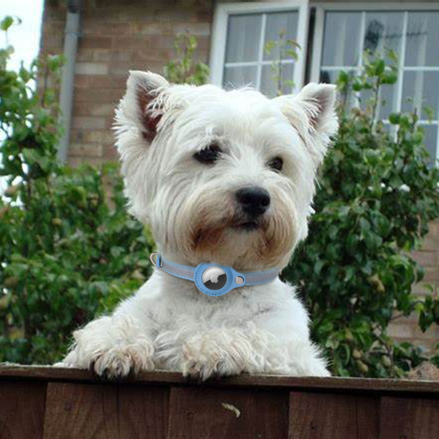 Adjustable GPS AirTag Dog Collar Small Animals Dog Collar With Airtag Holder