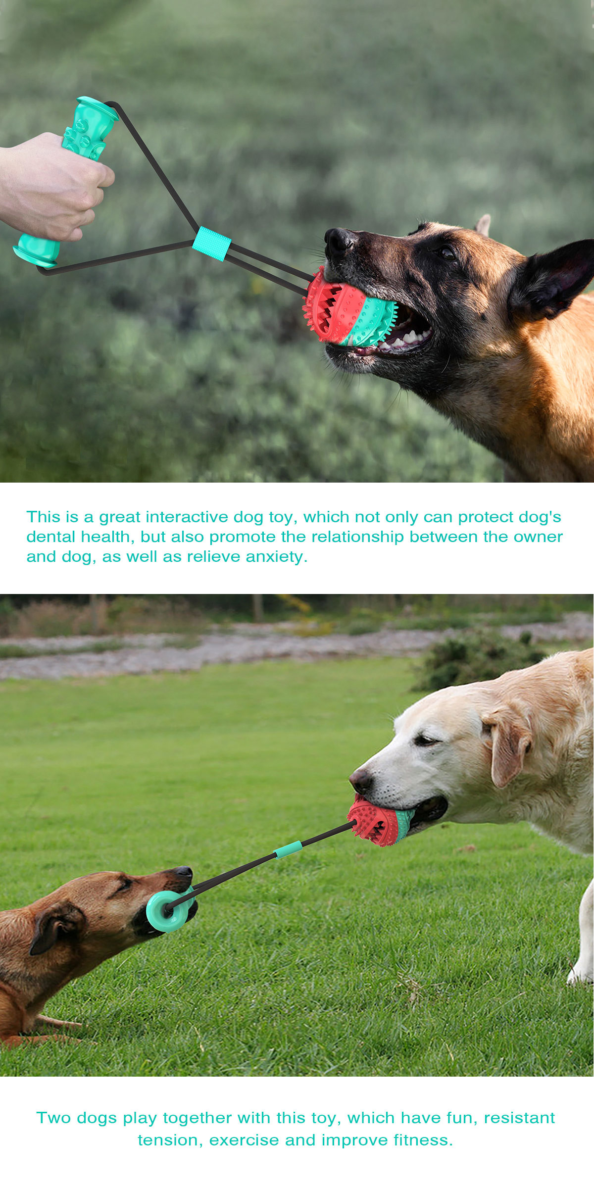 TPR OEM Dog Tug Of War Toy Suction Cup