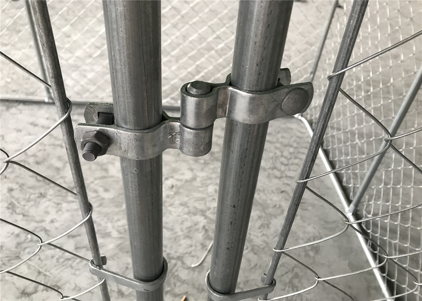 chain link dog kennel