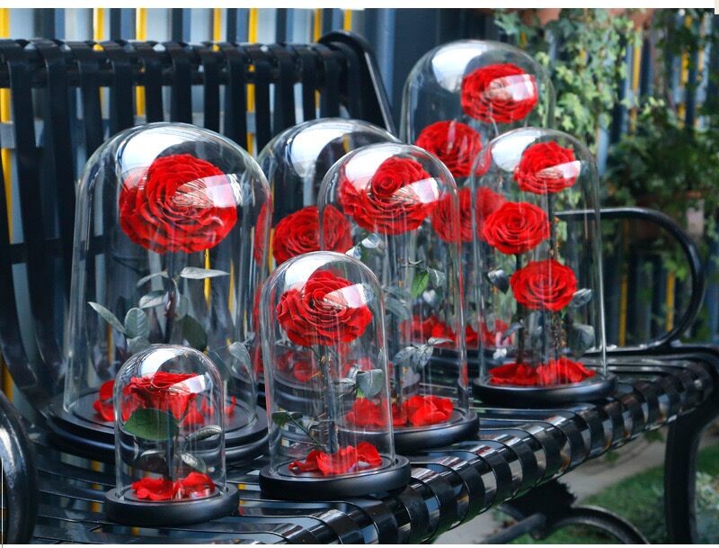 OEM Perfect Valentines Day Gifts Multiple Colours Preserved Everlasting Real Rose Flower in Glass Dome