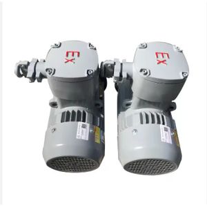 Industry Application Asynchronous Three Phase Flame Proof Electric Motor