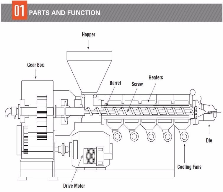 Automatic Pet Food Extruder , Twin Screw Extruder Machine 380v / 50hz