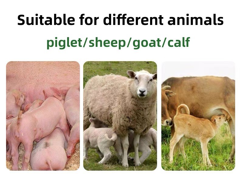 Long Lasting Livestock Plastic Feeding Equipment With 6/10/14 Nipples