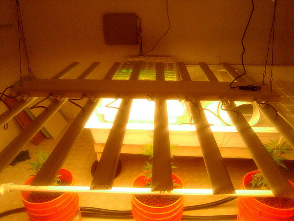 Durable Horticulture Grow Lights / Hanging Led Grow Lights For Succulents