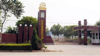 Hebei Reking Wire Mesh Co.,Ltd