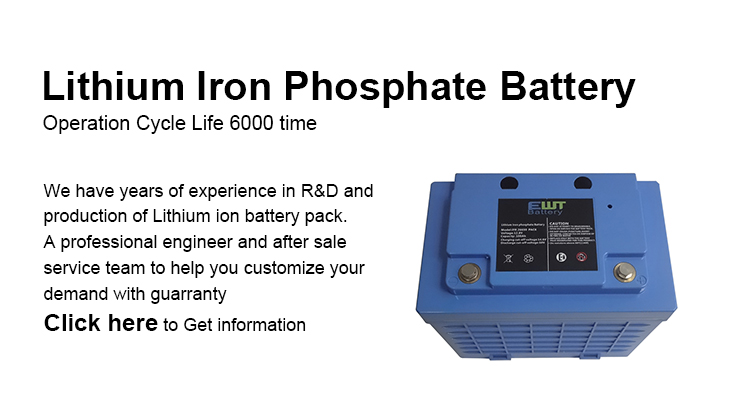 Promotional 12V Lithium Iron Phosphate Battery Pack 12.8v Lifepo4 Battery