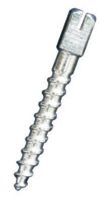 Dental Stainless Steel Ouro Post / Dental Titanium Screw Post