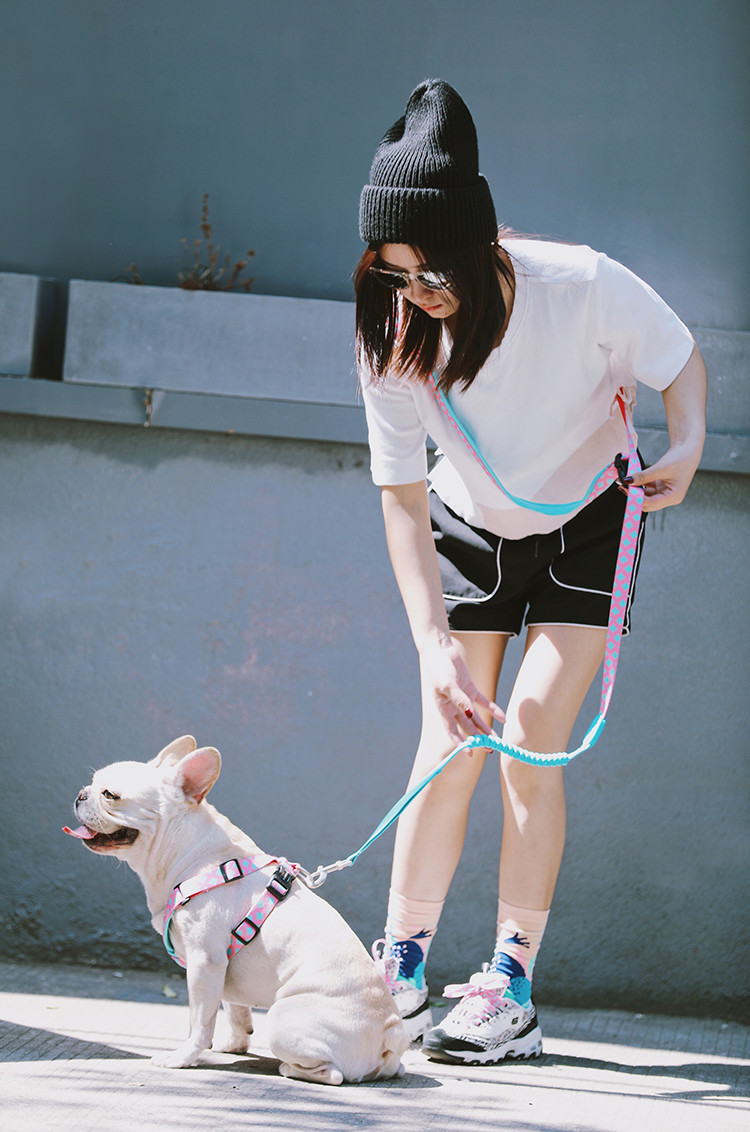 Soft Neoprene Padded Puppy Dog Walking Training Harness Stop Pulling X Type