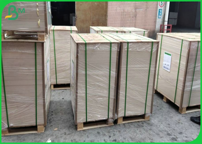 250 gsm 365 gsm foodgrade White Top Coated Kraft Liner Paperboard for fast food box