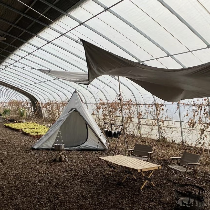 Hydroponics Flower Planting Vegetable Production Sunlight Greenhouse