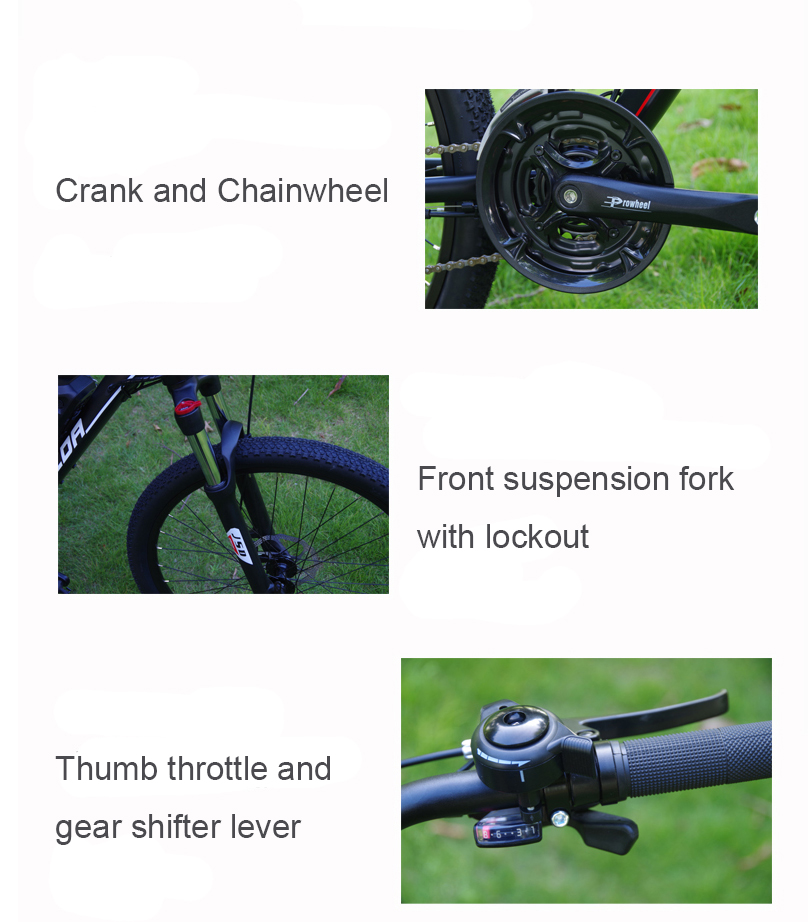 26 Inch 250W 350W Electric Mountain Bicycle 48V Lithium Battery And 24 Speed Gears