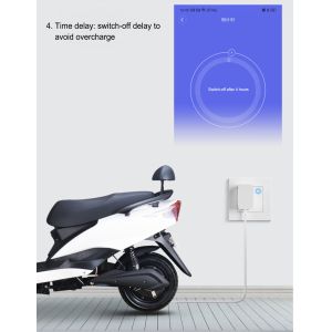 13A Tuya Timer Wall Socket 3500W Voice Activated Power Outlet