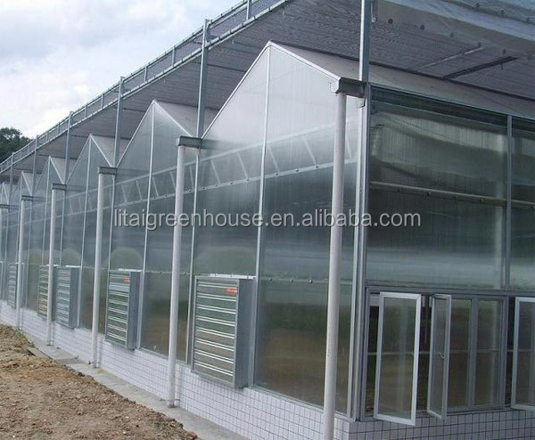 White Double Layer Greenhouse for Mushroom Farming Profitability