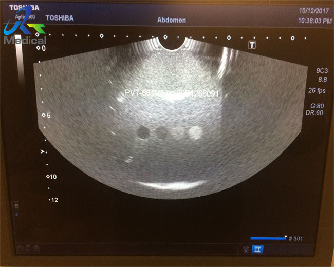 PVT-661VT 10mm Ultrasound Scanner Probe For Endovaginal Diagnostic Equipment With Enhanced Imaging Capabilities