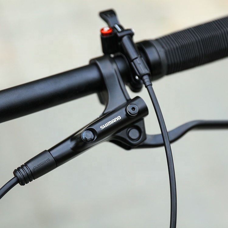 29 Inch MTB Carbon Fiber Mountain Bike for Adult Bicycles Durable Frame and SRAM Shifter