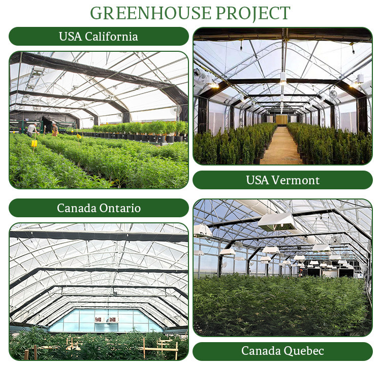 Customizable Width Height and Length for Automatic Blackout Greenhouse to Fit Your Space