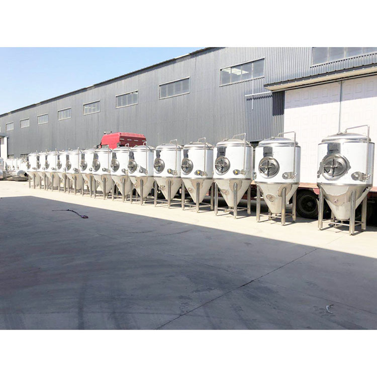 220V/110V Easy to Operate Brewery Fermentation Machine Equipment with Easy Operation