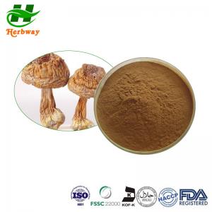  Agaricus Brasiliensis Agaricus Blazei Extract 10%-50% Polysaccharide Manufactures